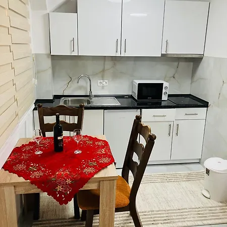 Apartment Vlasic דירה *